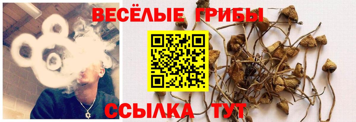 Псилоцибиновые грибы MAGIC MUSHROOMS Семёнов